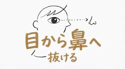 「目から鼻へ抜ける」の意味や由来とは？例文でわかりやすく解説！