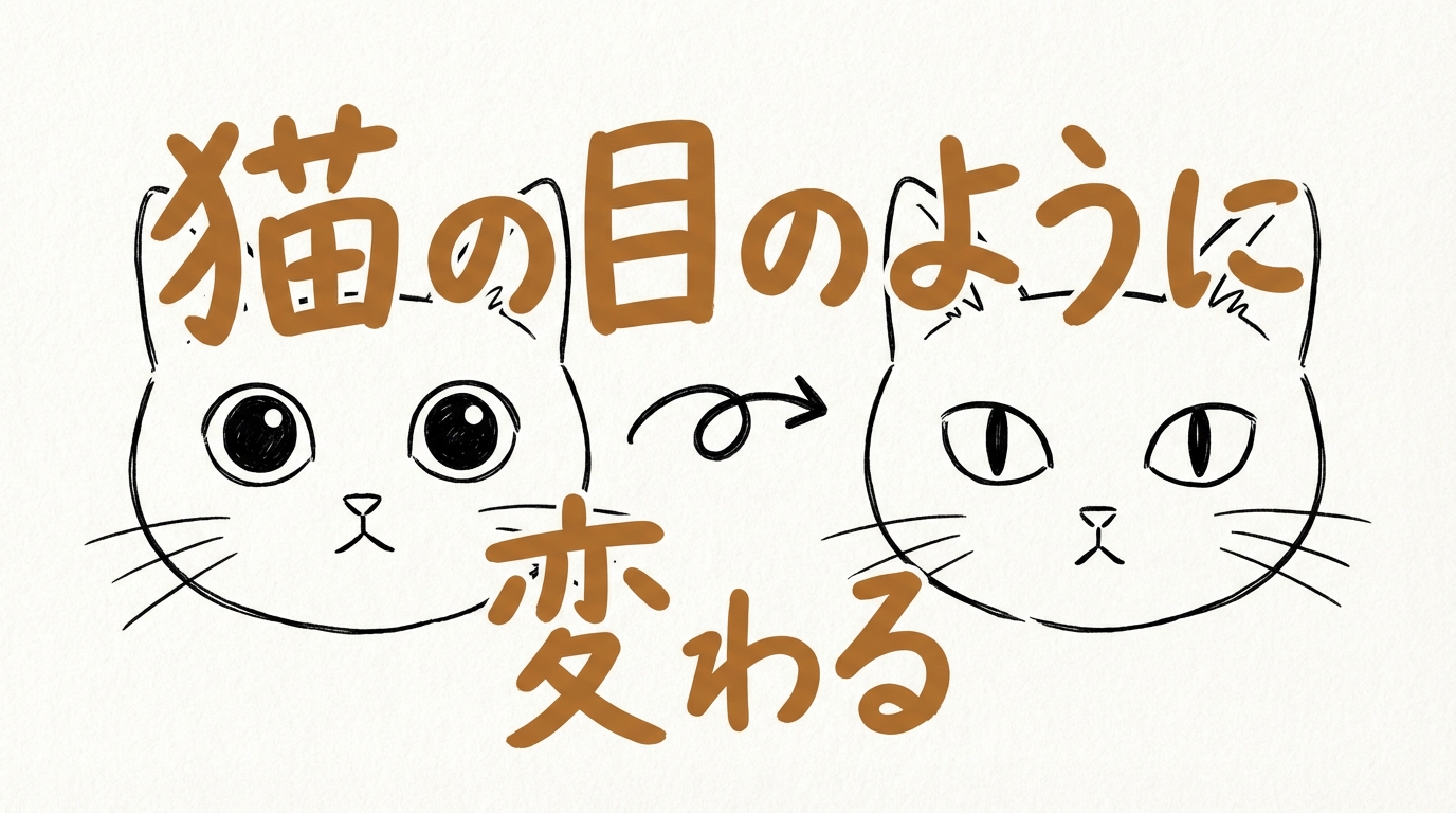 「猫の目のように変わる」の意味・由来とは?例文でわかりやすく解説!