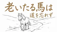 「老いたる馬は道を忘れず」の意味や由来とは？例文でわかりやすく解説！