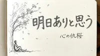 「明日ありと思う心の仇桜」の意味や由来とは？例文でわかりやすく解説！