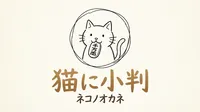 「猫に小判」の意味や由来とは？例文でわかりやすく解説！