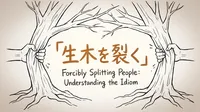 「生木を裂く」の意味や由来とは？例文でわかりやすく解説！